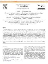 A Unique Retrogene Within a Gene That Has Acquired Multiple Promoters and a Specific Function in Spermatogenesis