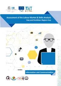 Assessment of the Labour Market & Skills Analysis