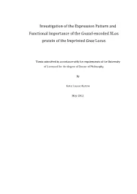 Investigation of the Expression Pattern and Functional Importance of the Gnasxl-Encoded Xlαs Protein of the Imprinted Gnas Locus