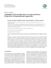 Review Article Amphiphiles Self-Assembly: Basic Concepts and Future Perspectives of Supramolecular Approaches