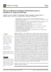 Drivers of Bornean Orangutan Distribution Across a Multiple-Use Tropical Landscape