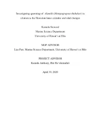 Investigating Spawning of ʻalamihi (Metopograpsus Thukuhar) in Relation to the Hawaiian Lunar Calendar and Tidal Changes