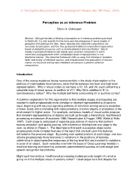 Perception As an Inference Problem