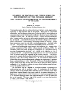 Relation of Macular and Other Holes to the Insertion of the Inferior Oblique