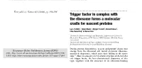 Trigger Factor in Complex with the Ribosome Forms a Molecular Cradle