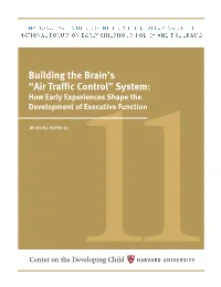 Building the Brain's "Air Traffic Control" System