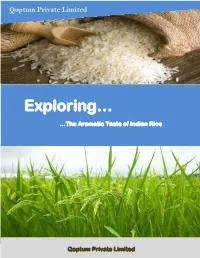 Exploring… …The Aromatic Taste of Indian Rice