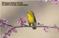Michigan Native Plants for Bird-Friendly Landscapes What Are Native Plants? Why Go Native? Native Plants Are Those That Occur Naturally in an Area