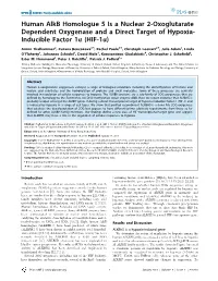 Human Alkb Homologue 5 Is a Nuclear 2-Oxoglutarate Dependent Oxygenase and a Direct Target of Hypoxia- Inducible Factor 1A (HIF-1A)