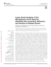 Large-Scale Analysis of the Mycoplasma Bovis Genome Identified Non-Essential, Adhesion- and Virulence-Related Genes