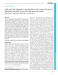 Light and Dark Adaptation Mechanisms in the Compound Eyes of Myrmecia Ants That Occupy Discrete Temporal Niches Ajay Narendra1,2,*, Birgit Greiner2, Willi A