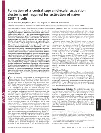 Formation of a Central Supramolecular Activation Cluster Is Not Required for Activation of Naive CD8؉ T Cells