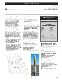 Panhandle Eastern Pipe Line