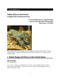 Yabby (Cherax Destructor) Ecological Risk Screening Summary