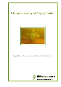 A Targeted Survey of Najas Flexilis