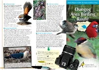 Dungog Area Birding Route
