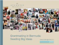 Grantmaking in Bermuda