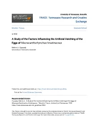 A Study of the Factors Influencing the Artificial Hatching of the Eggs of Macracanthorhynchus Hirudinaceus