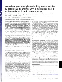 Homeobox Gene Methylation in Lung Cancer Studied by Genome-Wide Analysis with a Microarray-Based Methylated Cpg Island Recovery Assay