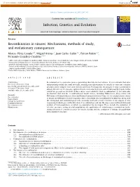 Recombination in Viruses: Mechanisms, Methods of Study, and Evolutionary Consequences