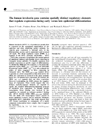 The Human Involucrin Gene Contains Spatially Distinct Regulatory Elements That Regulate Expression During Early Versus Late Epidermal Di€Erentiation