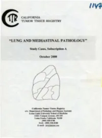 View PDF (Sem1147.Pdf)