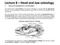 Lecture 8 – Head and Jaw Osteology