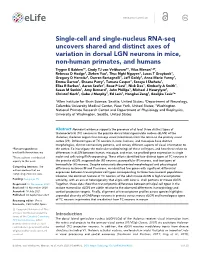 Single-Cell and Single-Nucleus RNA-Seq Uncovers Shared
