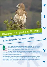 Where to Watch Birds