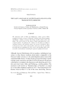 505 the Lost Language of Ancient