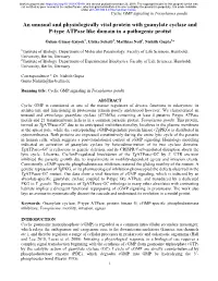 An Unusual and Physiologically Vital Protein with Guanylate Cyclase and P-Type Atpase Like Domain in a Pathogenic Protist