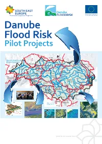 Danube Flood Risk Pilot Projects