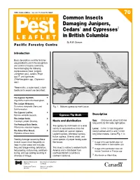 LEAFLET in British Columbia by R.W