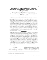 Phylogeny of Genus Wyeomyia (Diptera:Culicidae) Inferred from Morphological and Allozyme Data