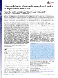 C-Terminal Domain of Mammalian Complexin-1 Localizes to Highly Curved Membranes