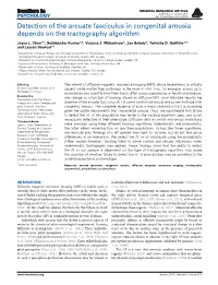 Detection of the Arcuate Fasciculus in Congenital Amusia Depends on the Tractography Algorithm