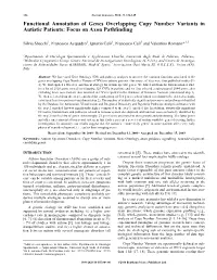 Functional Annotation of Genes Overlapping Copy Number Variants in Autistic Patients: Focus on Axon Pathfinding