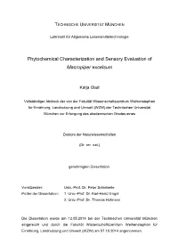 Phytochemical Characterization and Sensory Evaluation of Macropiper Excelsum
