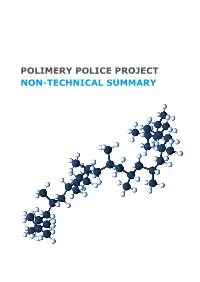 Polimery Police Project Non-Technical Summary