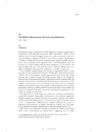 The Mitotic Chromosome: Structure and Mechanics John F