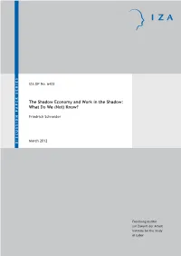The Shadow Economy and Work in the Shadow: What Do We (Not) Know?