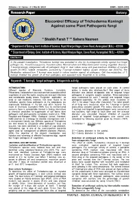 Biocontrol Efficacy of Trichoderma Koningii Against Some Plant Pathogenic Fungi