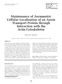 Maintenance of Asymmetric Cellular Localization of an Auxin Transport Protein Through Interaction with the Actin Cytoskeleton