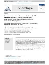 Important Interaction Between Urethral Taste Bud-Like Structures and Onuf's