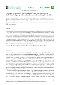Taxonomic Reexamination of Portulaca Okinawensis (Portulacaceae) in the Ryukyu Archipelago of Japan Based on Molecular and Morphological Data