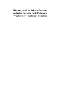 Diversity and Activity of Sulfate-Reducing Bacteria In