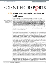 Fine Dissection of the Tarsal Tunnel in 60 Cases Y