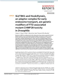 Ik2/TBK1 and Hook/Dynein, an Adaptor Complex for Early