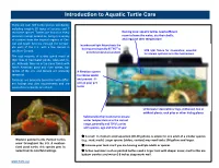 Introduction to Aquatic Turtle Care