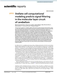 Stellate Cell Computational Modeling Predicts Signal Filtering in the Molecular Layer Circuit of Cerebellum